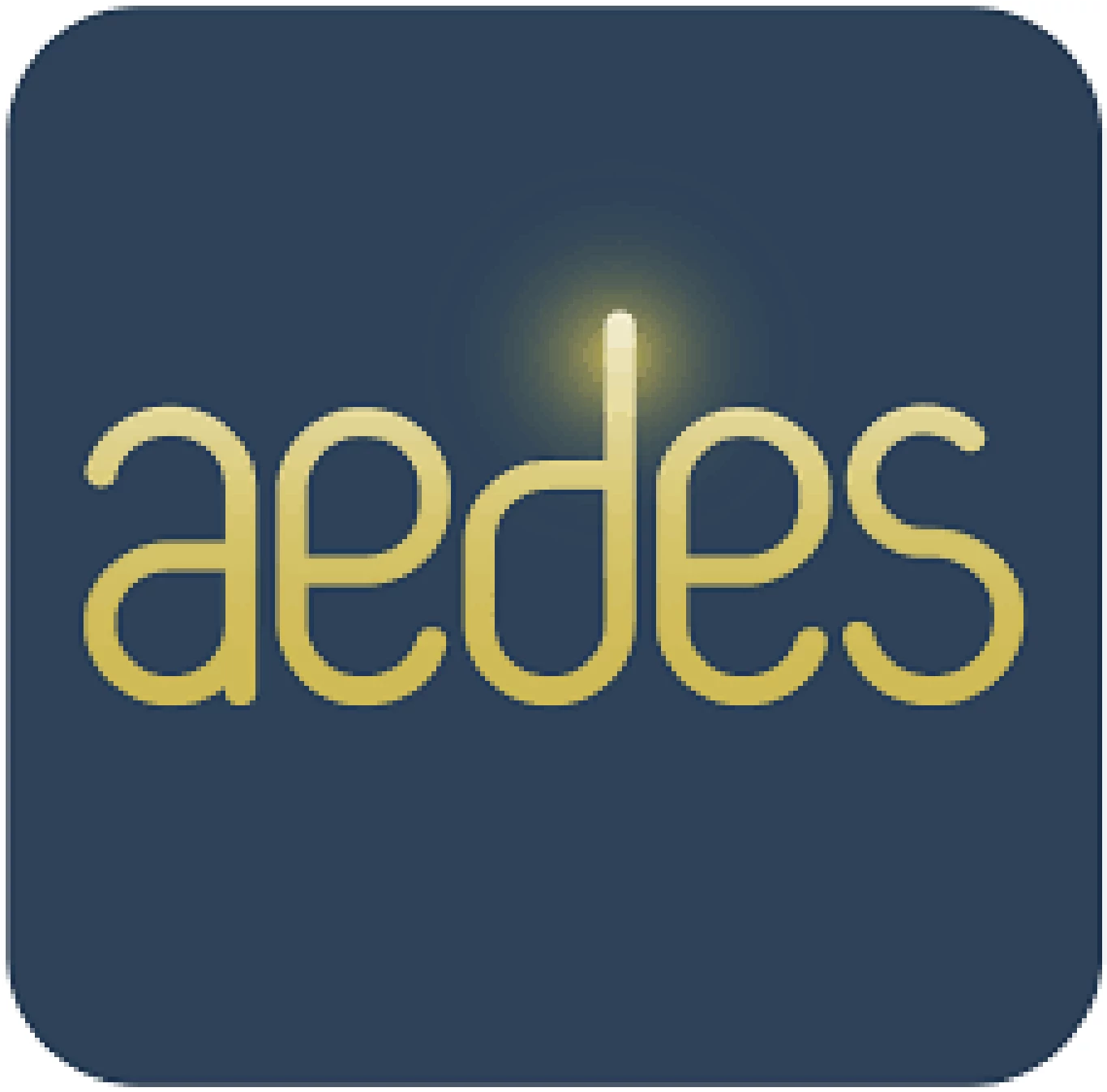 Aedes